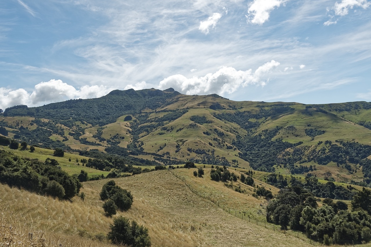 How to Be a Responsible Tourist in New Zealand’s Christchurch